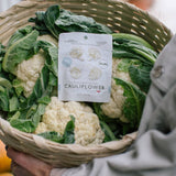 POSHI - Cauliflower: Salt & Black Pepper