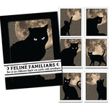 Brainmeats Atelier - Feline Familiars – Boxed Black Cat Moon Notecard Set