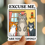 Mystical Monkey Toes - “Excuse Me, Are You Pooping?” Cats Vinyl Sticker