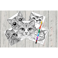 Mystical Monkey Toes - Beautiful Cat Face Coloring Sheets With Stackable Crayon