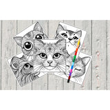 Mystical Monkey Toes - Beautiful Cat Face Coloring Sheets With Stackable Crayon