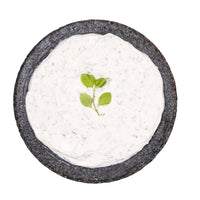 The Secret Garden - Zesty Garlic Dip Mix