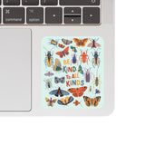 Juju and Moxie - Insect Bug Kindness Vinyl Sticker