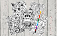 Mystical Monkey Toes - Beautiful Assortment Adult Coloring Sheets With Stackable Crayon