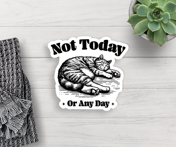 Expression Design Co - Cat “Not Today” Vinyl Sticker